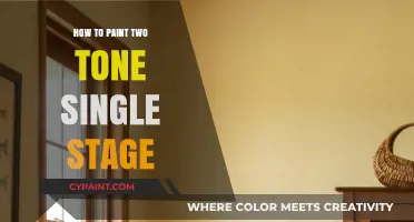 Mastering Two-Tone Single Stage Painting: Tips and Techniques for Beginners