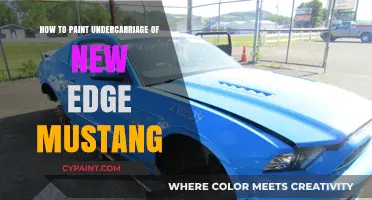 Mastering Undercarriage Painting: A Guide for New Edge Mustangs