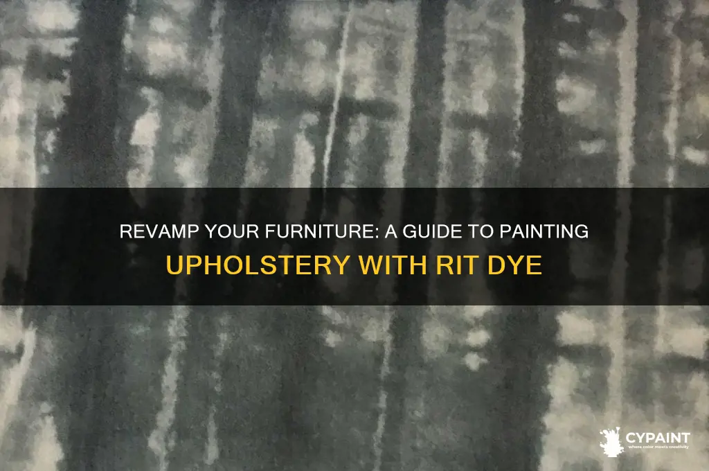 how to paint upholstery with rit dye