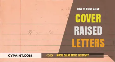 Painting Valve Cover Raised Letters: A Step-by-Step DIY Guide