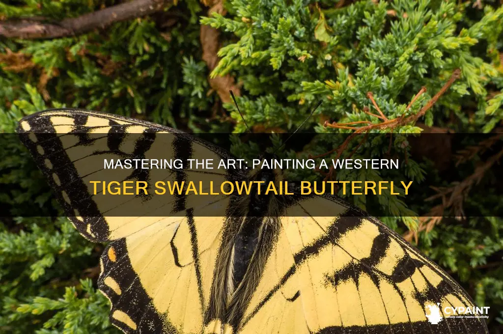 how to paint western tiger swallowtail butterfly