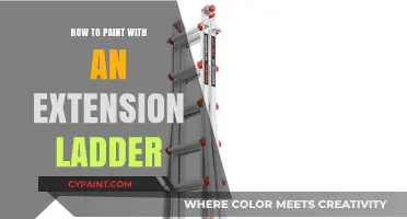 Mastering High-Reach Painting: Tips for Using an Extension Ladder