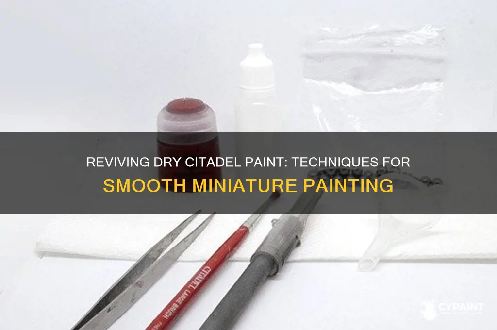 how to paint with dry paint citadel