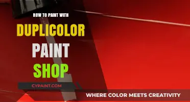 Master Dupli-Color Paint Shop: Easy Steps for Professional Car Painting