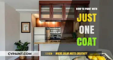 Master One-Coat Painting: Efficient Tips for Flawless Coverage