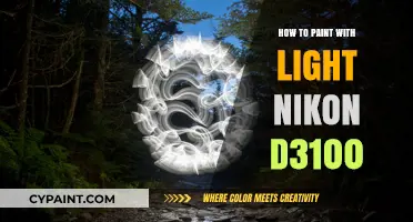 Master Light Painting Techniques with Your Nikon D3100 Camera