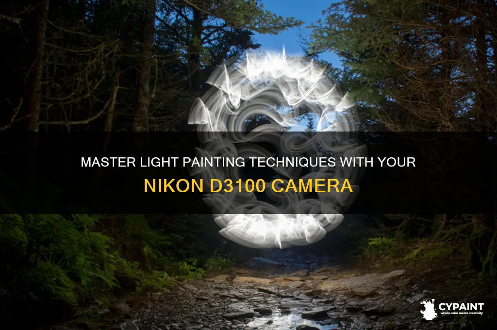 how to paint with light nikon d3100