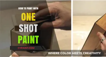Mastering One Shot Paint: Tips for Flawless Single-Coat Painting