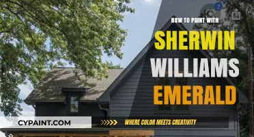 Mastering Sherwin Williams Emerald Paint: Tips for a Flawless Finish