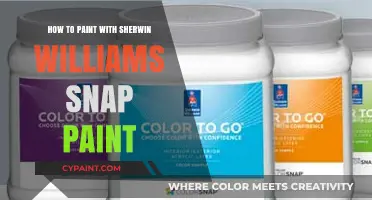 Master Sherwin-Williams Snap Paint: Easy Tips for Flawless Results