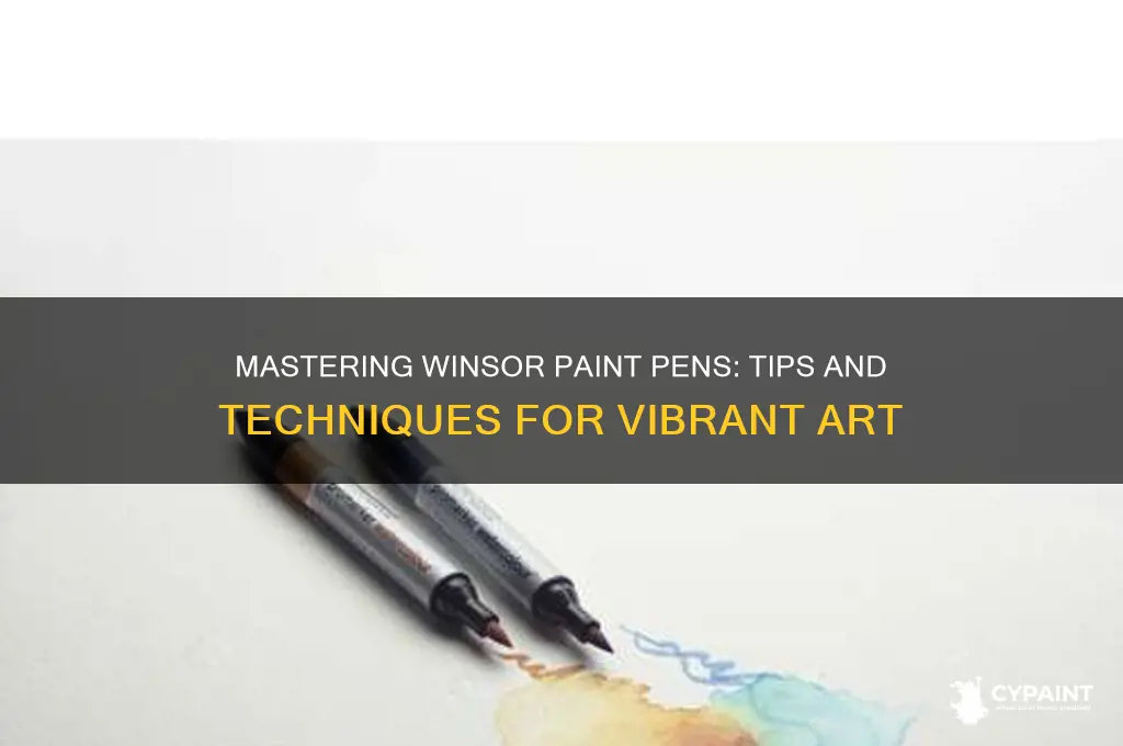 how to paint with winsor paint pens