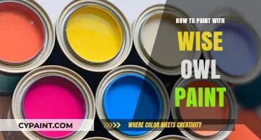 Mastering Wise Owl Paint: Tips for Stunning DIY Painting Projects