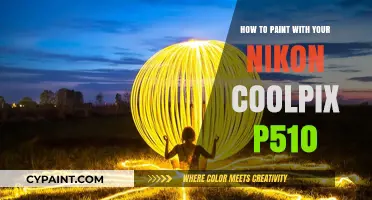 Creative Photography: Painting with Light Using Your Nikon Coolpix P510