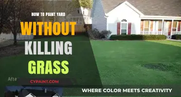 Paint Your Yard Safely: Tips to Protect Grass While Painting