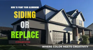 Revamp Your Home: Paint or Replace Aluminum Siding? Expert Tips