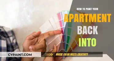 Revitalize Your Space: Expert Tips for Painting Your Apartment Back to Life