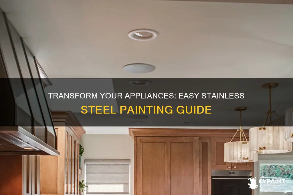 how to paint your appliances stainless steel