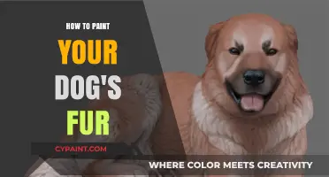 Creative Canine Art: Painting Your Dog's Fur Safely and Stylishly