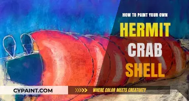 Creative Shell Painting: A Guide to Customizing Hermit Crab Homes