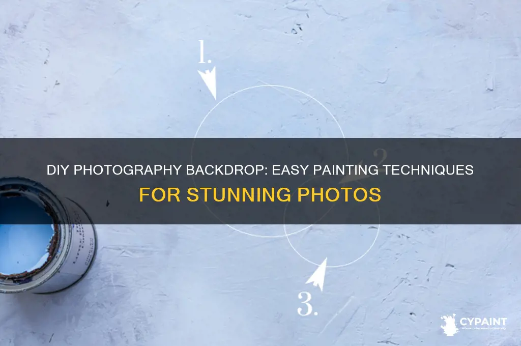 how to paint your own photography backdrop