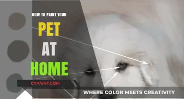 Easy Steps to Paint Your Pet at Home Like a Pro