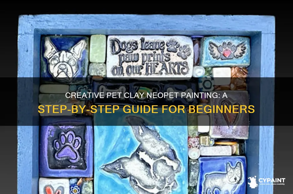 how to paint your pet clay neopets