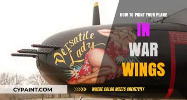 Mastering War Wings: Step-by-Step Guide to Painting Your Plane