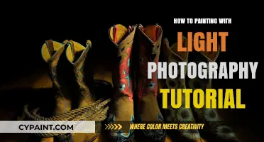 Master Light Painting Photography: Creative Techniques & Tips for Beginners