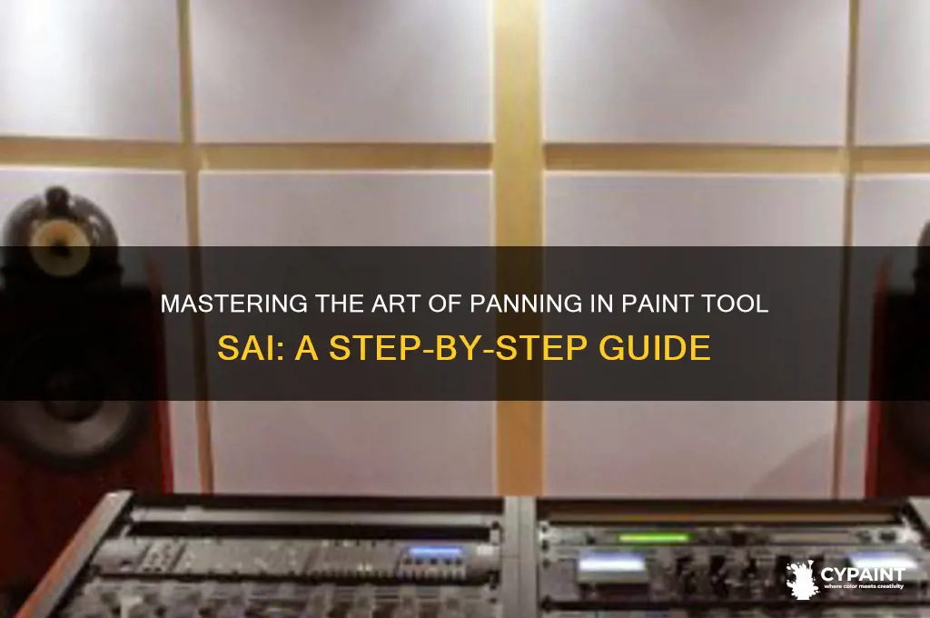 how to pan in paint tool sai