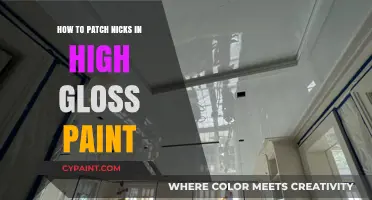 Fixing Nicks in High Gloss Paint: A Step-by-Step Repair Guide
