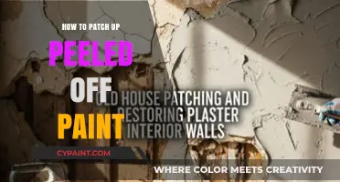 Quick Fix for Peeled Paint: Easy Patch-Up Guide