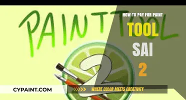Affordable Ways to Purchase Paint Tool SAI 2 Legally and Easily