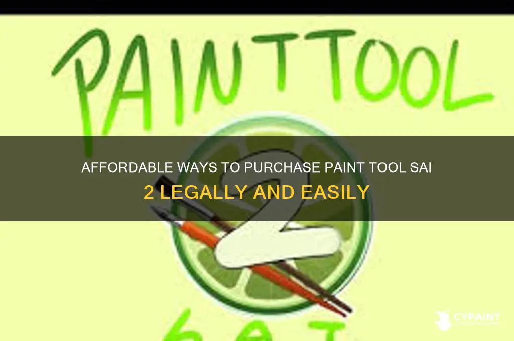 how to pay for paint tool sai 2