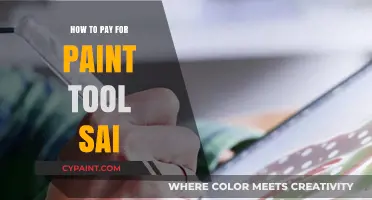 Affordable Ways to Purchase and Use Paint Tool SAI Legally