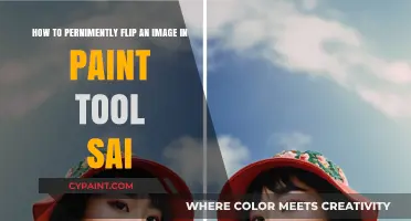 Permanently Flip Images in Paint Tool SAI: A Step-by-Step Guide