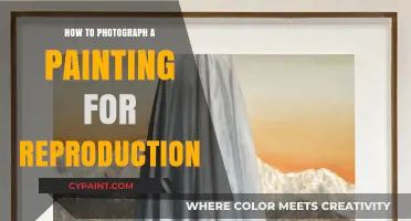 Mastering Art Reproduction: Tips for Photographing Paintings Professionally