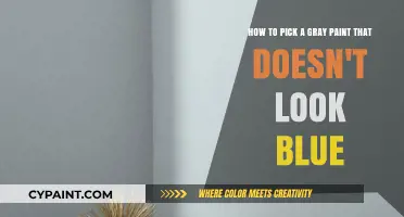 Choosing the Perfect Gray Paint: Avoid Blue Undertones with These Tips