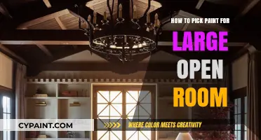 Choosing the Perfect Paint for Your Large Open Space