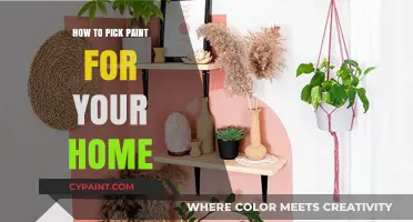 Choosing the Perfect Paint: A Guide to Home Color Selection
