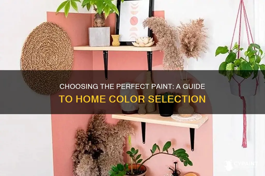 how to pick paint for your home