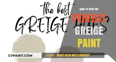 Choosing the Ideal Greige Paint: Tips for a Perfect Neutral Palette