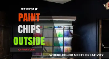 Efficiently Collecting Paint Chips Outdoors: Tips for a Cleaner Environment