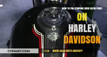 Mastering Pin Striping on Harley Davidson Satin Paint Finishes