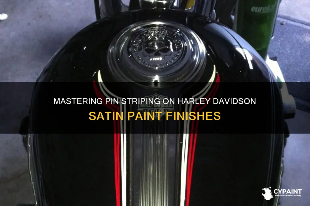 how to pin striping over satin paint on harley davidson