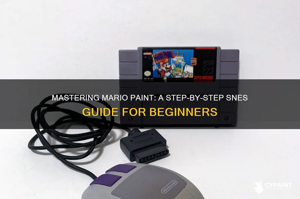 how to play mario paint on snes