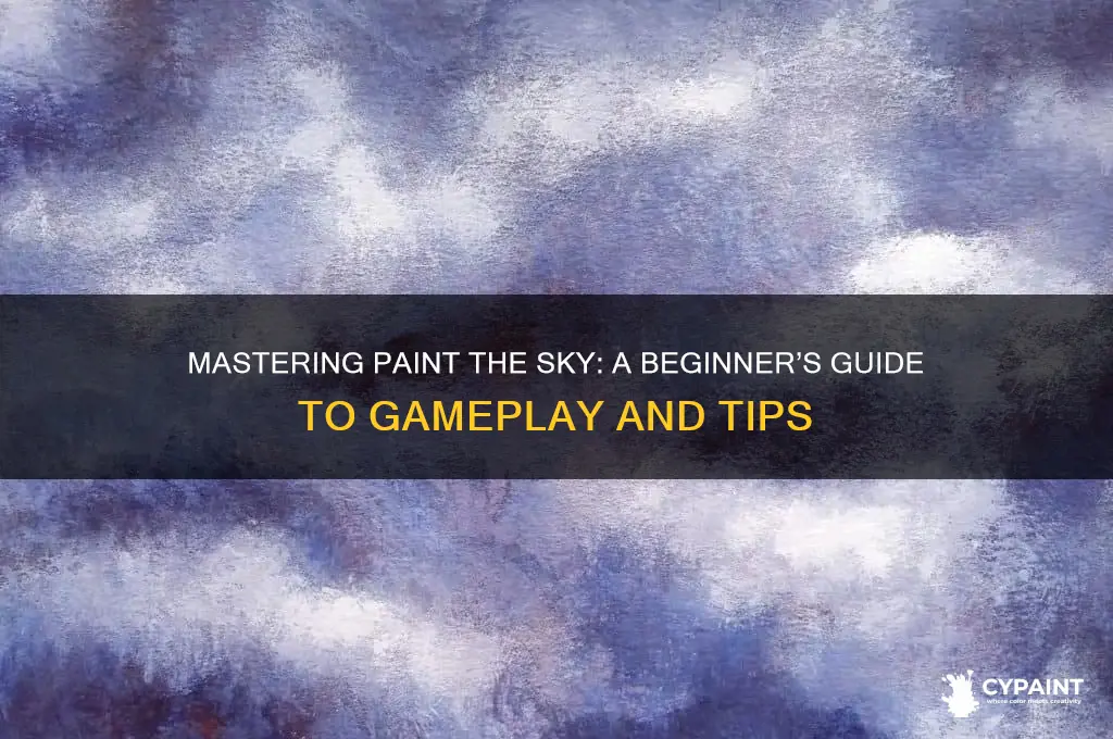 how to play paint the sky game