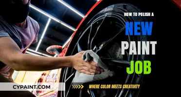 Mastering the Art of Polishing Your New Paint Job: Tips and Tricks