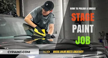 Mastering the Art of Polishing a Single Stage Paint Job