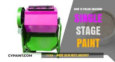 Revive Your Ride: Expert Tips for Polishing Cracking Single Stage Paint