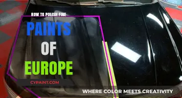 Mastering the Art of Polishing Europe's Finest Paints: A Guide